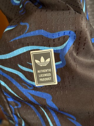 Camiseta Argentina