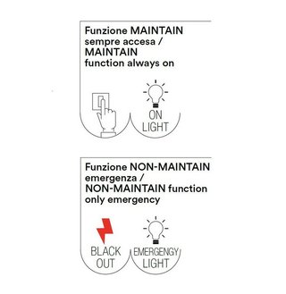 Lampada Led Luce Emergenza 4W IP65 ( SE + SA )