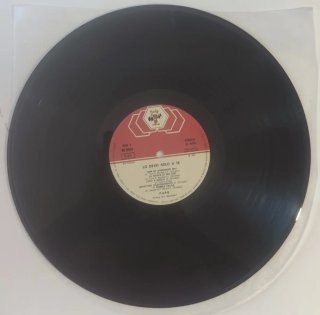 Pupo - Lo devo solo a te / LP Vinile Italia 1981