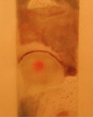 Arte Contemporáneo