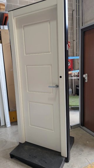 Carpintero profesional: Parquet y puertas