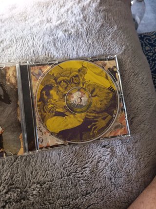 CD Green Day - Insomniac
