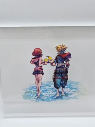 Kingdom Hearts III, II.8, Unchained χ & Union χ [C