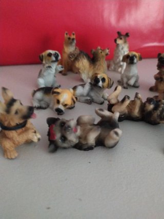 Lote 14 Perritos Miniatura Colección