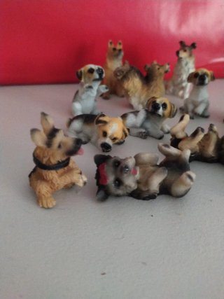 Lote 14 Perritos Miniatura Colección
