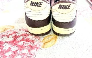 zapatillas Nike SB dunk low pro