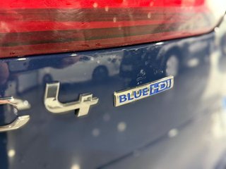 Citroën C4 Picasso Blue hdi 120 CvEat