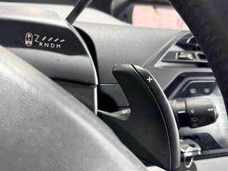 Citroën C4 Picasso Blue hdi 120 CvEat