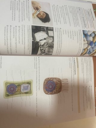 Biología y Geología, 4o ESO, Science Bits