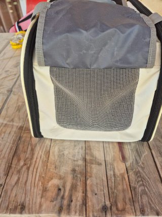 Transportín para gatos