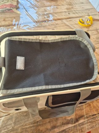 Transportín para gatos