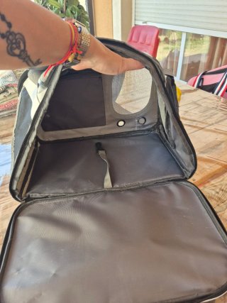 Transportín para gatos