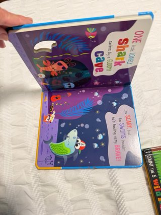 Libro infantil Never Touch the Wild Animals