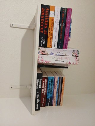 Lote COMPLETO de libros