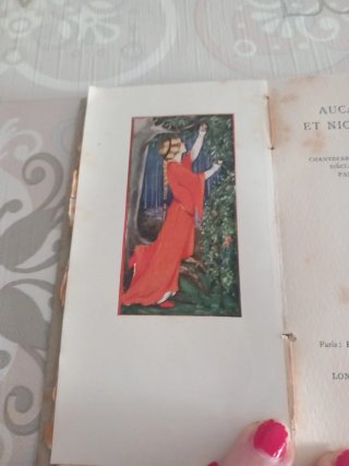 Aucassin et Nicolette Libro Antico Francese
