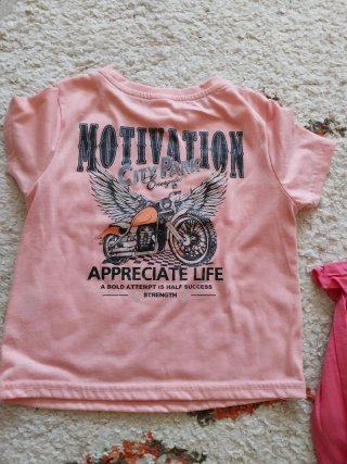 Lote Ropa Niña Camisetas y Faldas 4 a 5 años