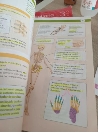 BIOLOXIA E XEOLOXIA 3 ESO CONTRUINDO MUNDOS