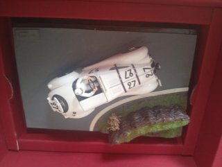 Coche Colección Edición Limitada