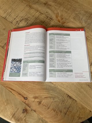 Llengua catalana i literatura 2 Bat