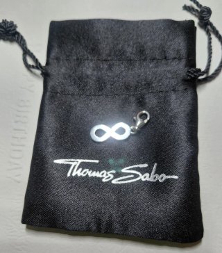 Charm Thomas Sabo Infinito Plata