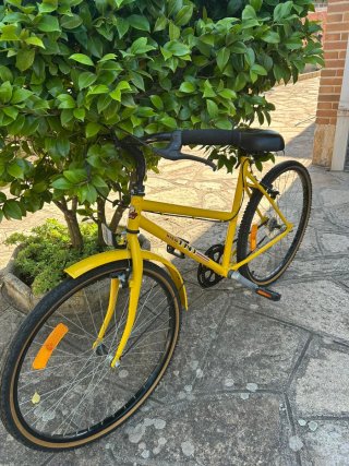 Bicicleta Vintage Amarilla Paseo Mujer