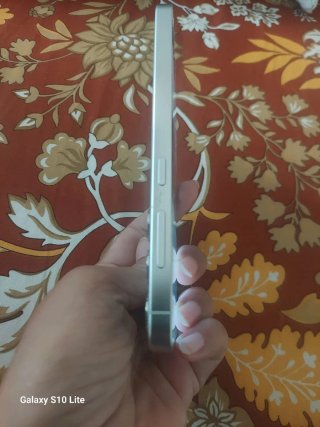 Samsung Galaxy S24  Gris (silver)