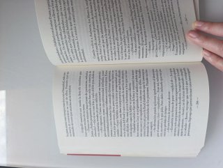 La Historia del loco. Jhon Katzenbach