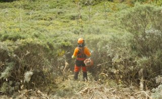 Hago limpieza parcelas casas terrenos económico
