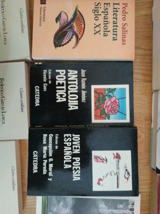 Poesía española del siglo XX: Machado, Lorca...
