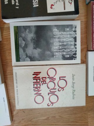 Poesía española del siglo XX: Machado, Lorca...