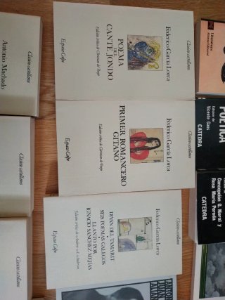 Poesía española del siglo XX: Machado, Lorca...
