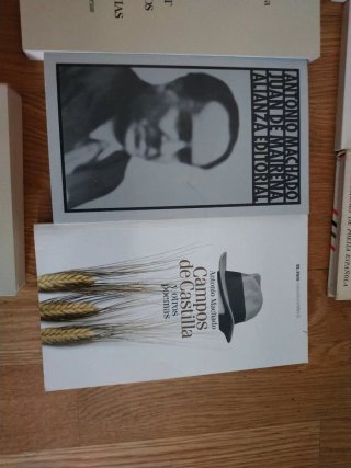 Poesía española del siglo XX: Machado, Lorca...