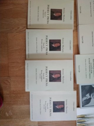 Poesía española del siglo XX: Machado, Lorca...