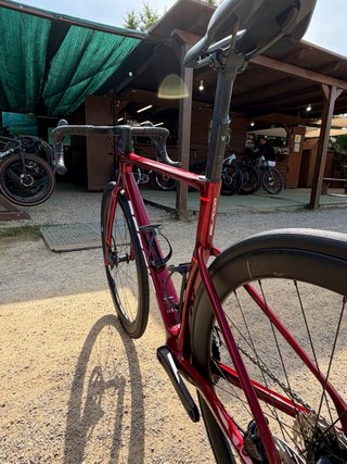 Berria Belador BR Carbono Ultegra Di2 12v