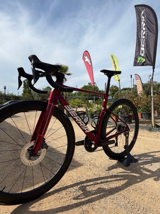 Berria Belador BR Carbono Ultegra Di2 12v