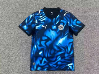 Camiseta Paraguay Alternativa