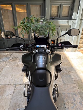 Triumph Tiger 1200 Rally Pro 2025