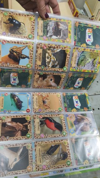 Panini Rewild Imágenes Coleccionables