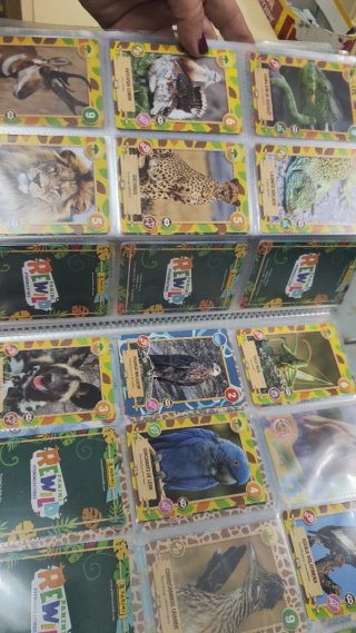Panini Rewild Imágenes Coleccionables