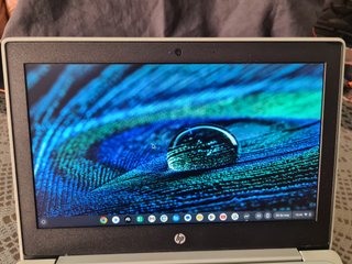 HP Chromebook 11A G8-EE ordenador portátil verde