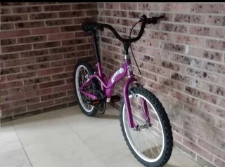 Bicicleta BMX Toimsa 20 Clásica