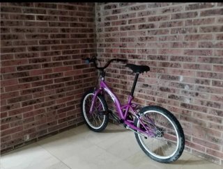 Bicicleta BMX Toimsa 20 Clásica