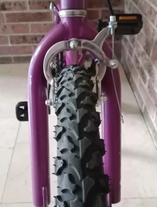 Bicicleta BMX Toimsa 20 Clásica