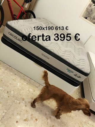 Colchón Cecotec 150x190 oferta 395€