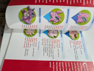 Libro Pokémon