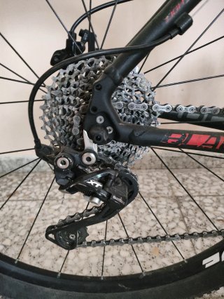 Bicicleta Focus Black Forest 29