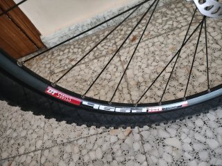 Bicicleta Focus Black Forest 29