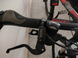 Bicicleta Focus Black Forest 29
