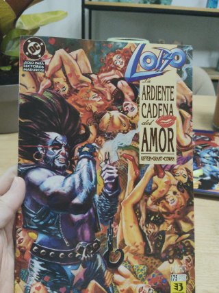 Comics lote 7 LOBO