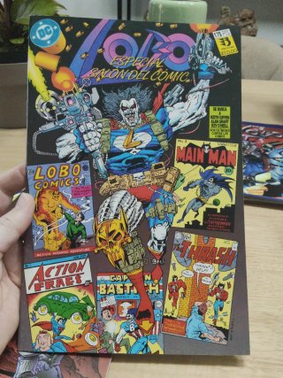 Comics lote 7 LOBO